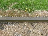 image of grave number 684239